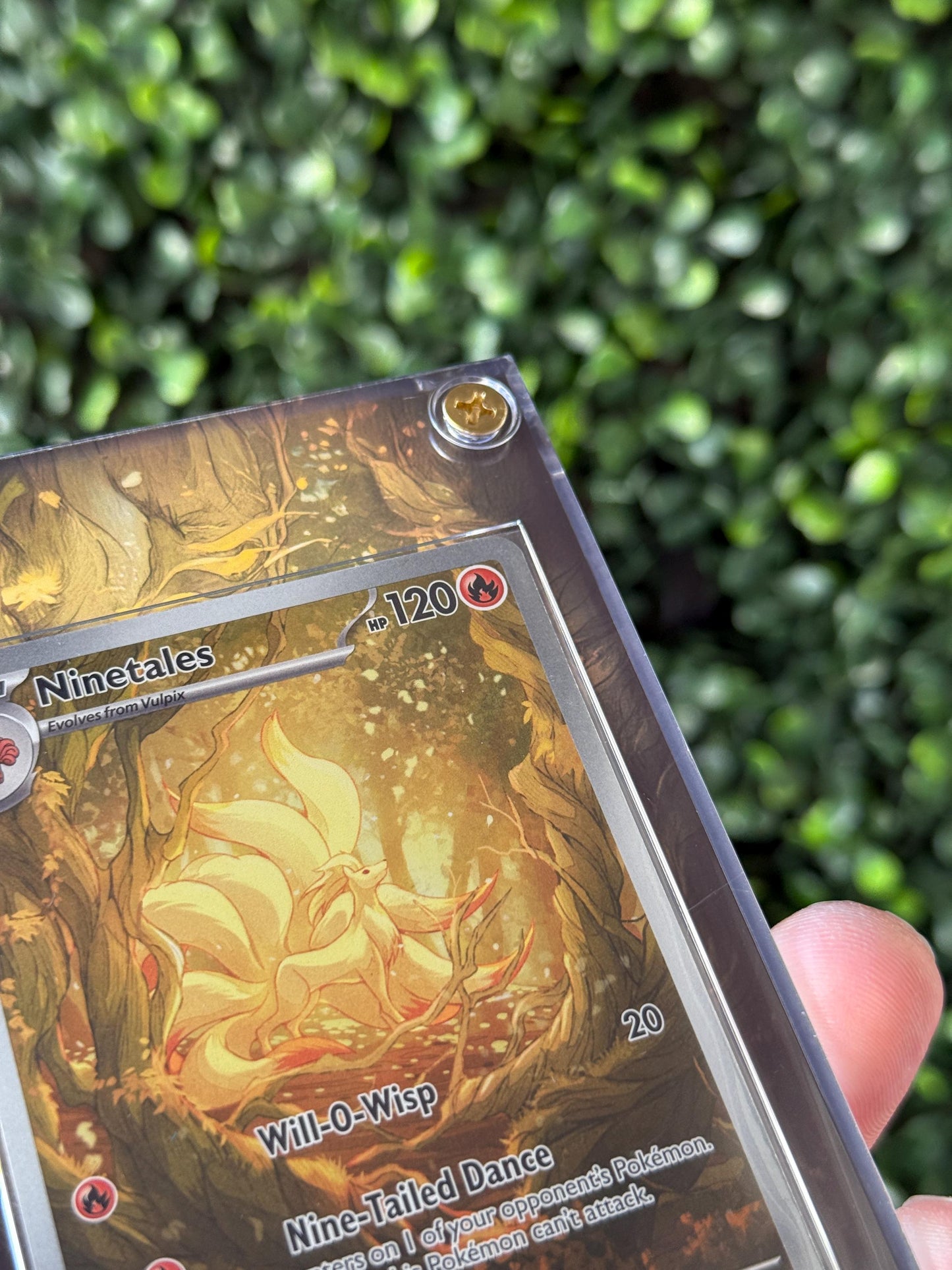 Ninetales Custom Extended art Acrylic Case
