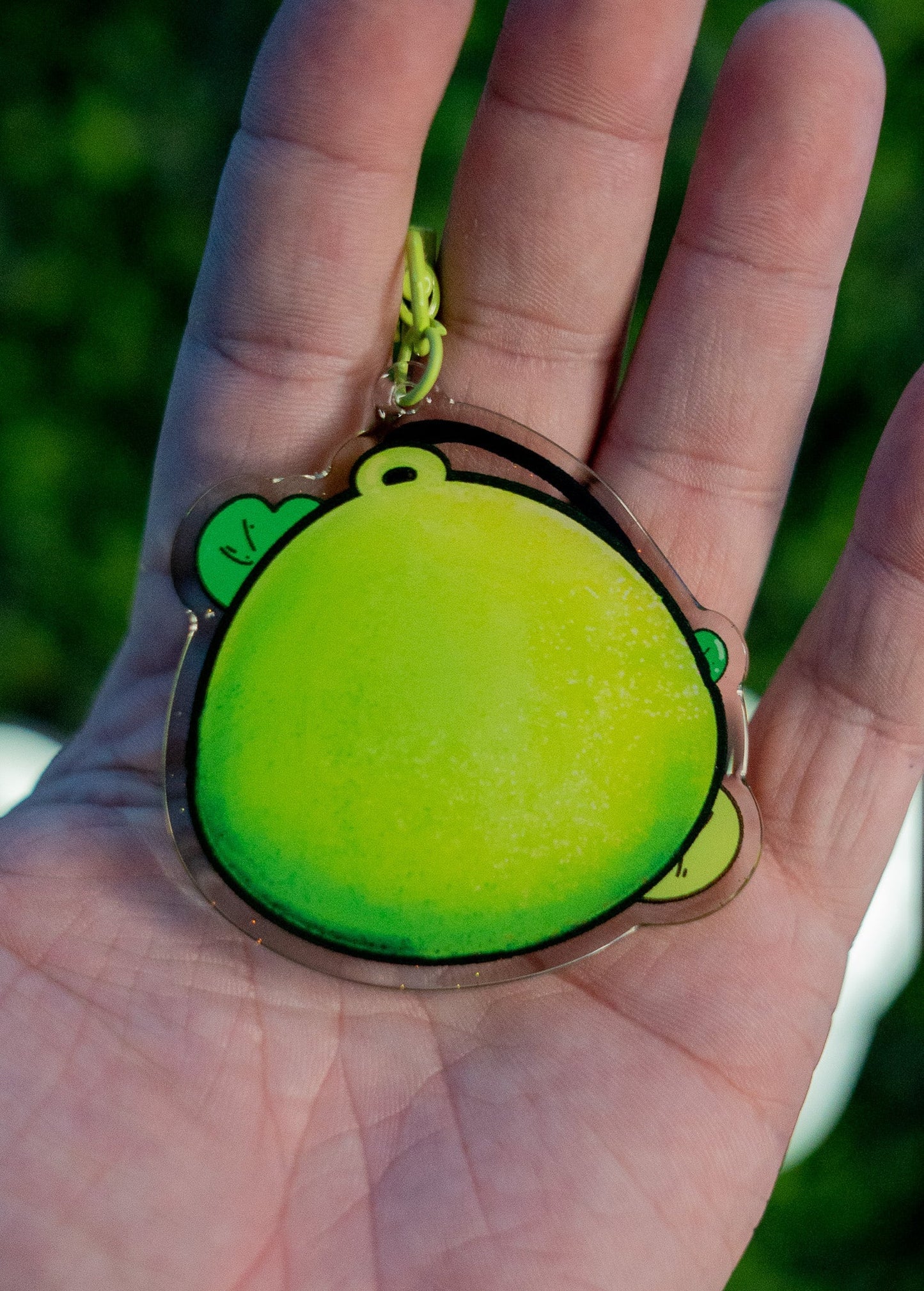 3D virtual frog | Acrylic Keychain - 3D Props Play