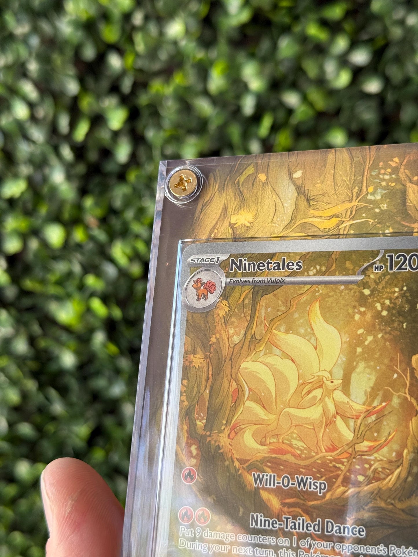 Ninetales Custom Extended art Acrylic Case