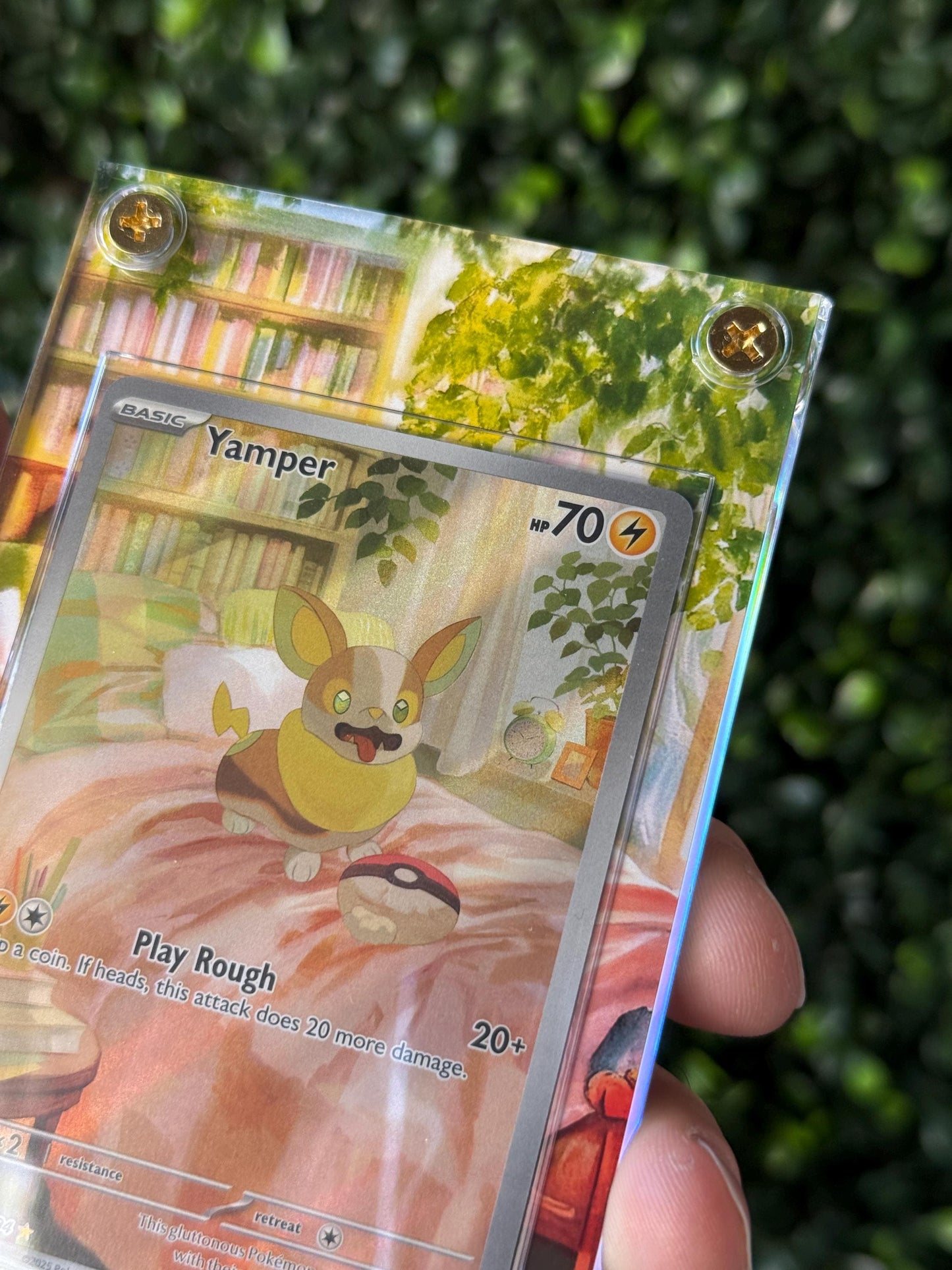 Yamper Custom Extended art Acrylic Case