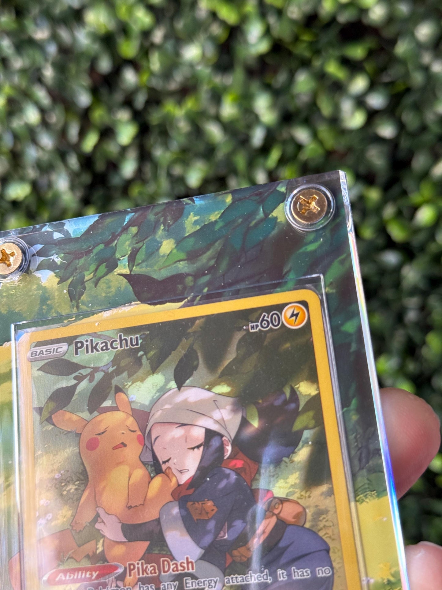 Sleeping Pika Lost Origin Extended art Acrylic Case