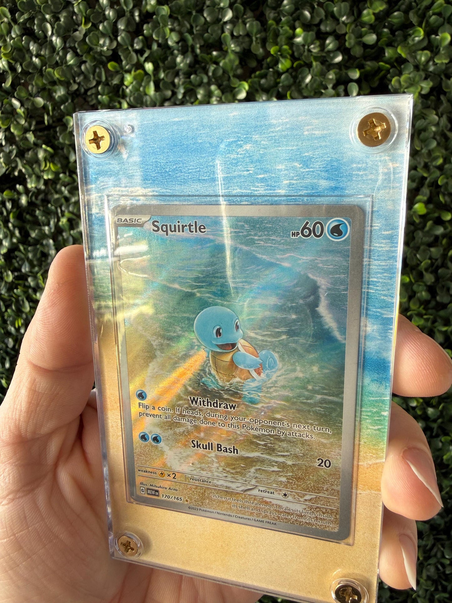 Squirtle 151 Custom Extended art print with Acrylic Case