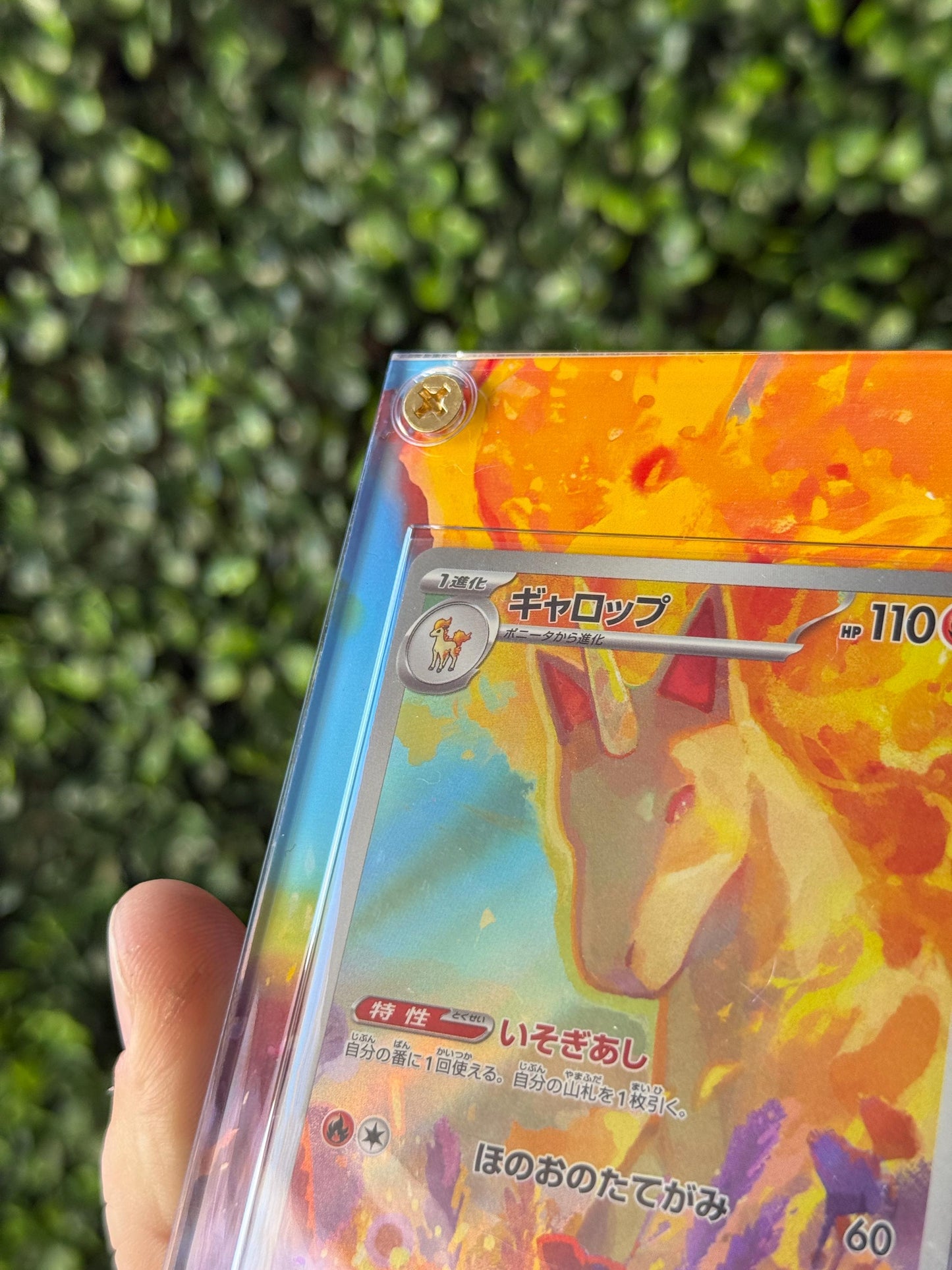 Rapidash custom Extended art Acrylic Case