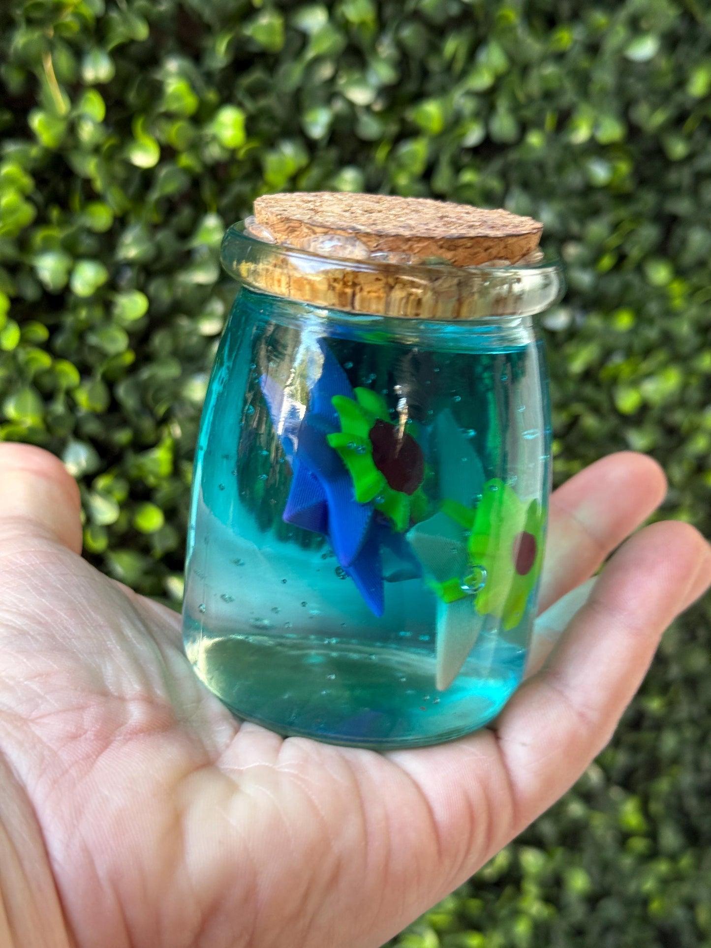 Starmie and Staryu in a bottle