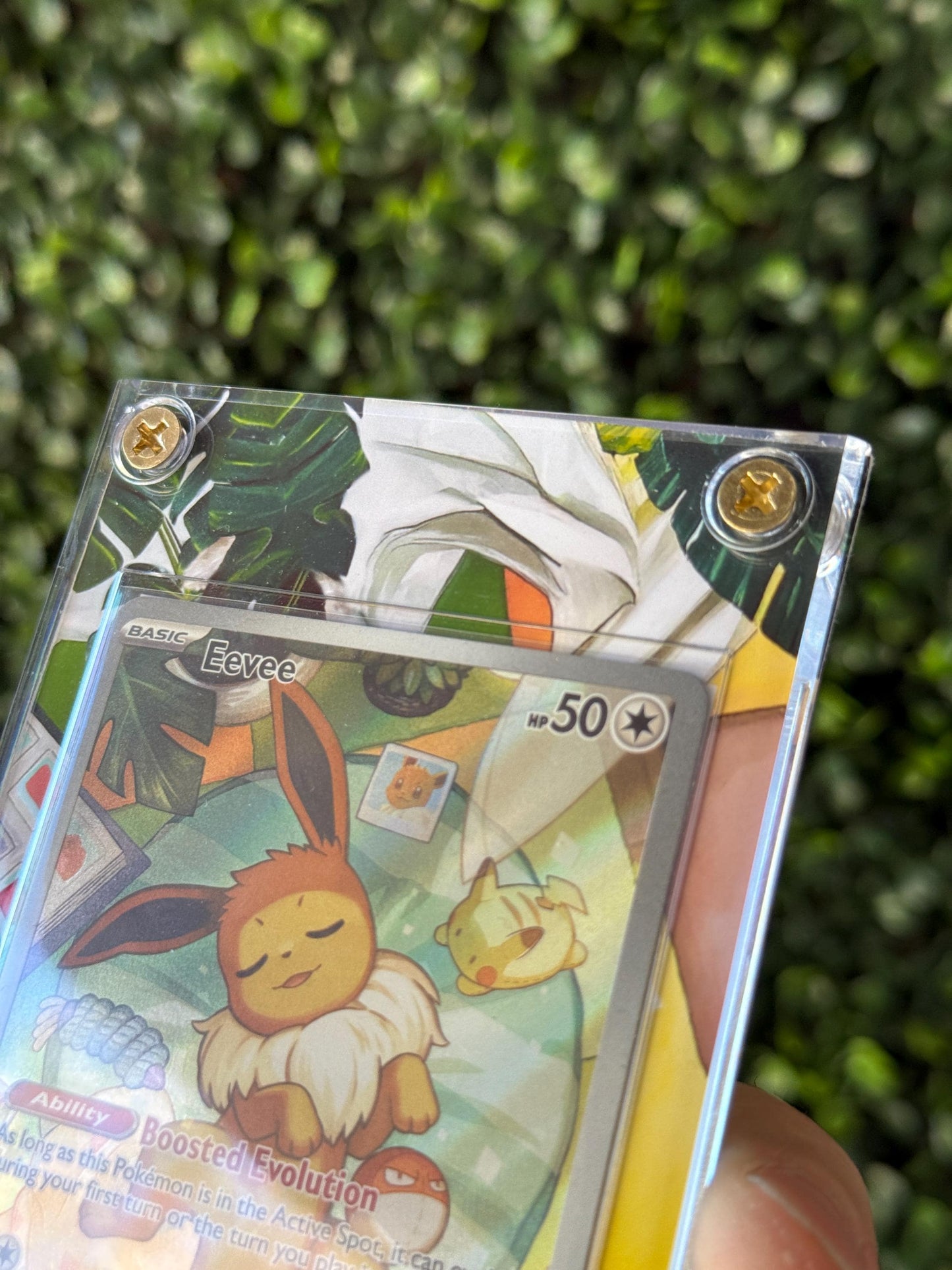 Sleeping Eevee Promo Extended art Acrylic Case