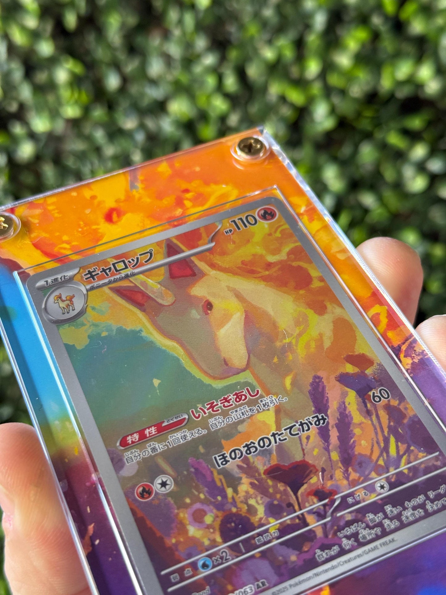 Rapidash custom Extended art Acrylic Case