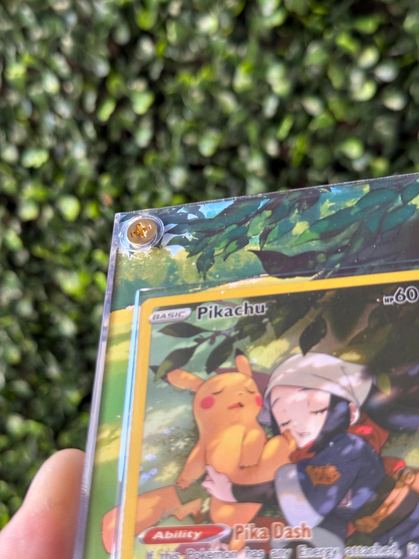 Sleeping Pika Lost Origin Extended art Acrylic Case