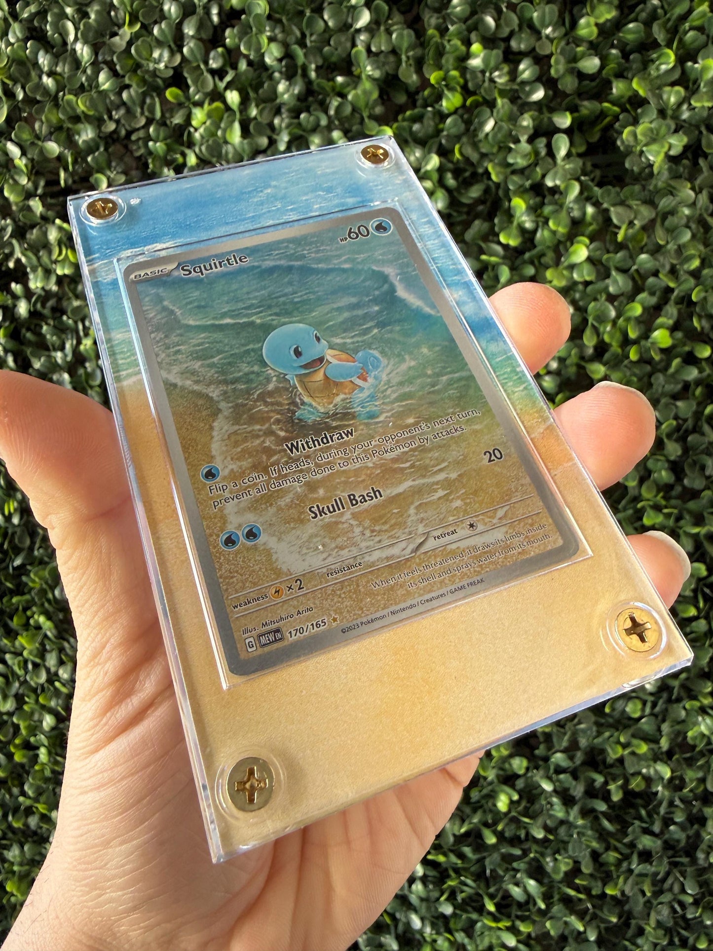 Squirtle 151 Custom Extended art print with Acrylic Case
