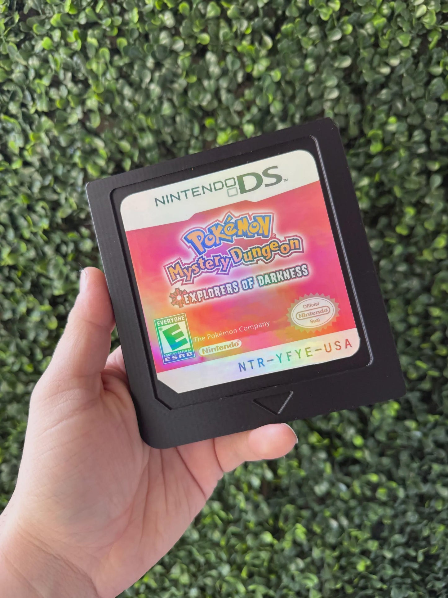 Mystery dungeon DSGame Cartridge | 3d printed | Retro | Wall decor