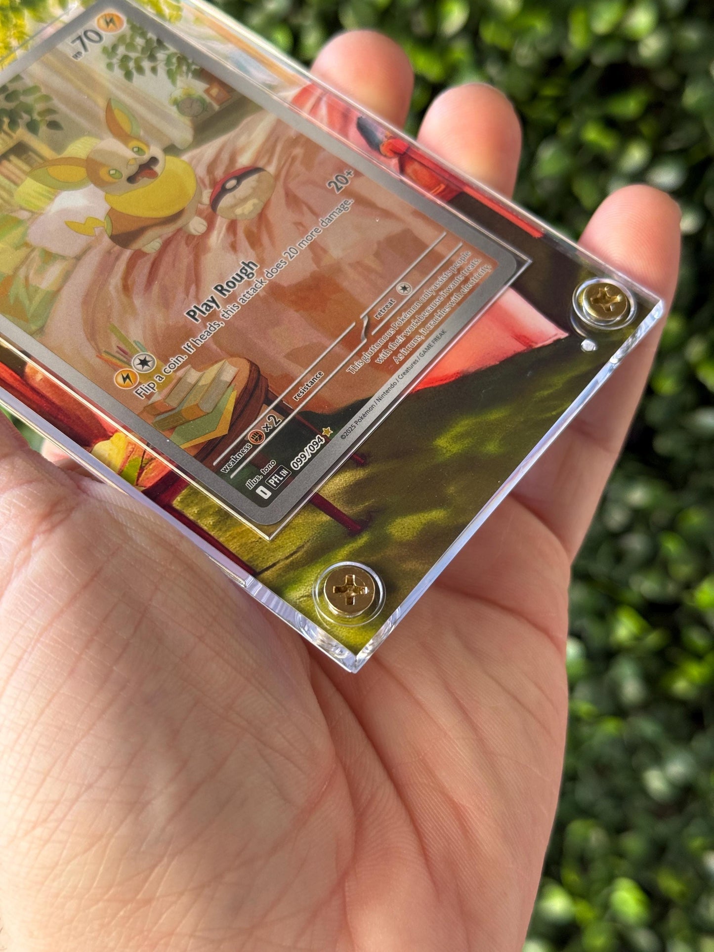 Yamper Custom Extended art Acrylic Case